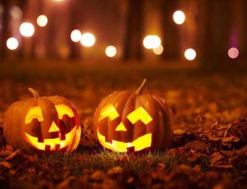 Programación de Halloween 2024